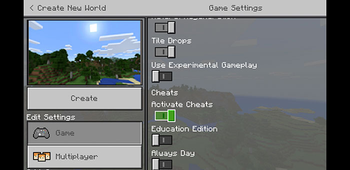 Vào Game Settings và bật “Activate Cheats”